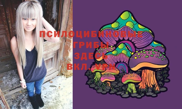 2c-b Абдулино