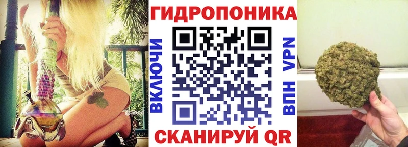 сколько стоит  Азов  Канабис конопля 